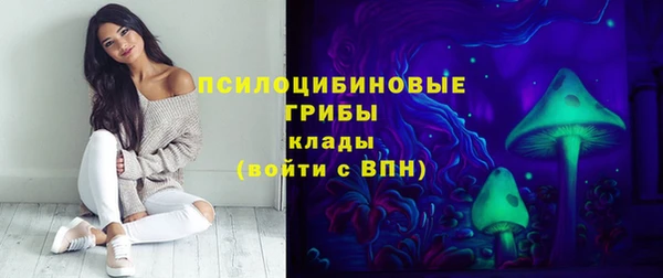 амф Богданович