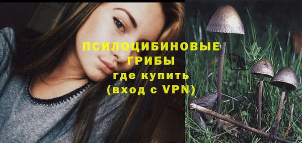 амф Богданович