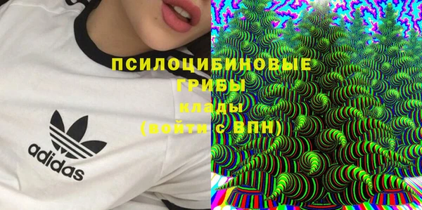 MDMA Богородицк